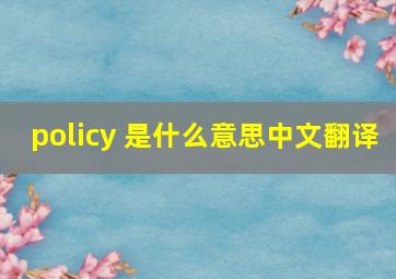 policy 是什么意思中文翻译